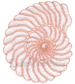 (lgs07020) Seashell Outline