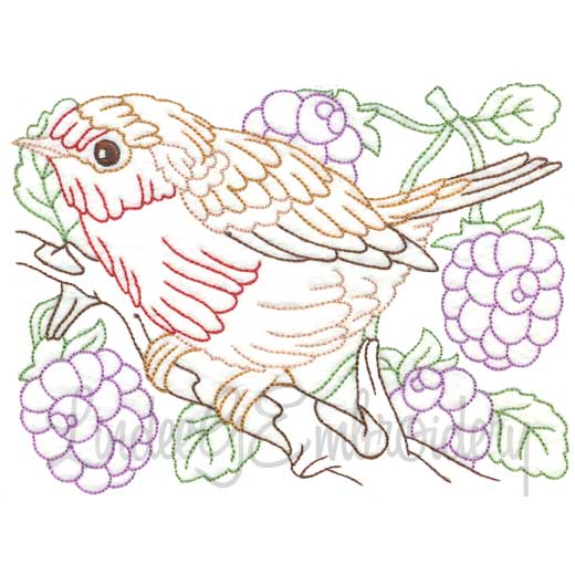 Bird with Raspberries Multicolor