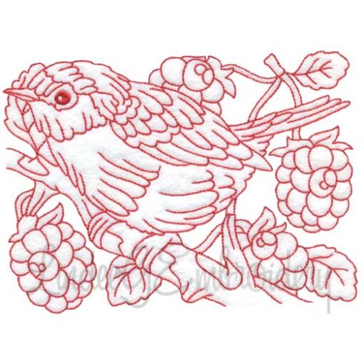 Bird with Raspberries Redwork
